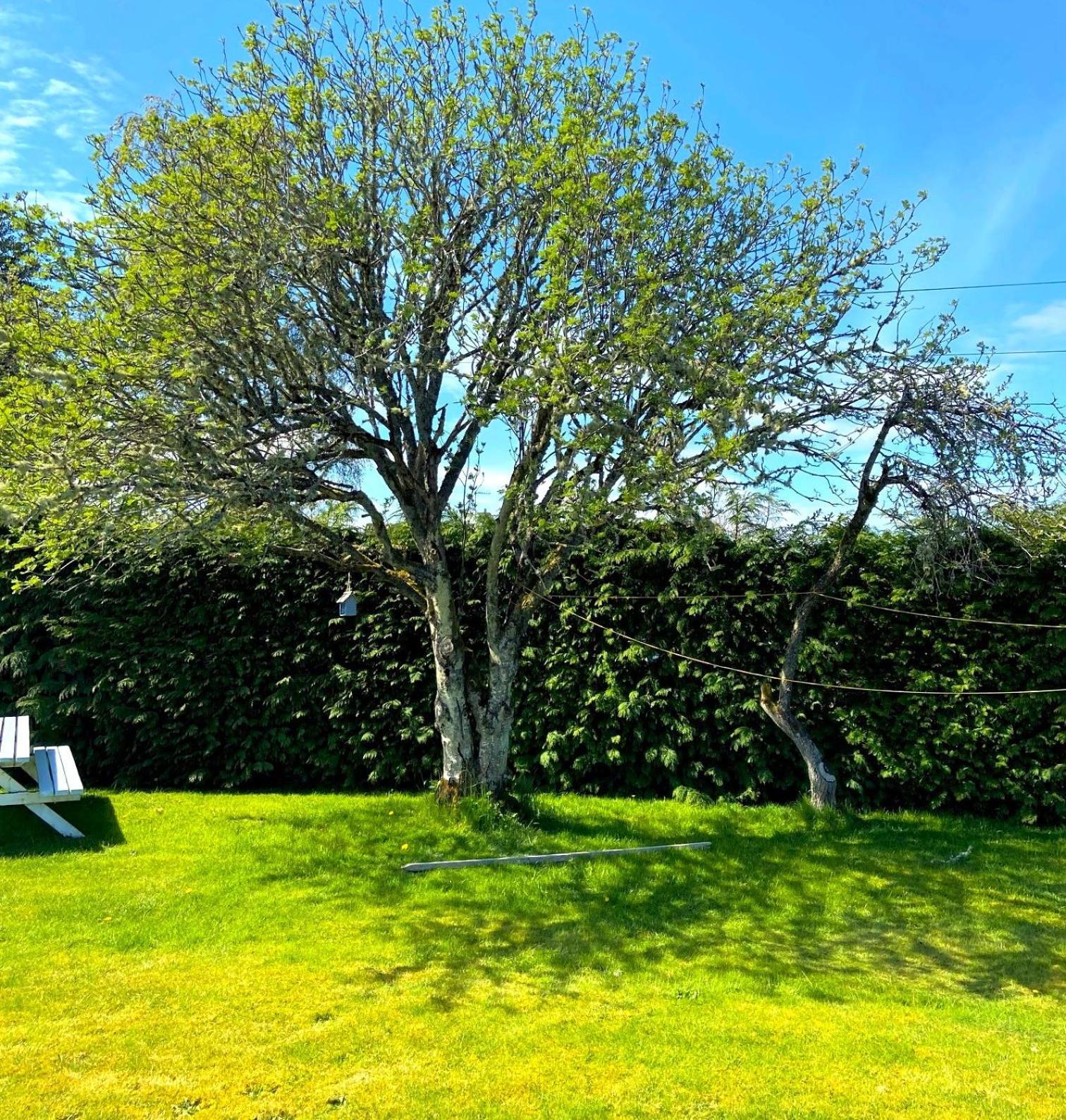 26 Green Drive Inverness Inshes Esterno foto